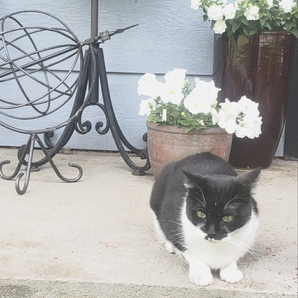 Meet your Posher, Hanna